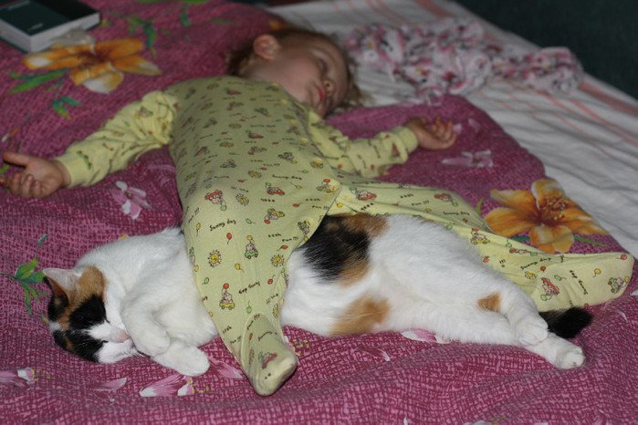 Кошка и новорожденный ребенок