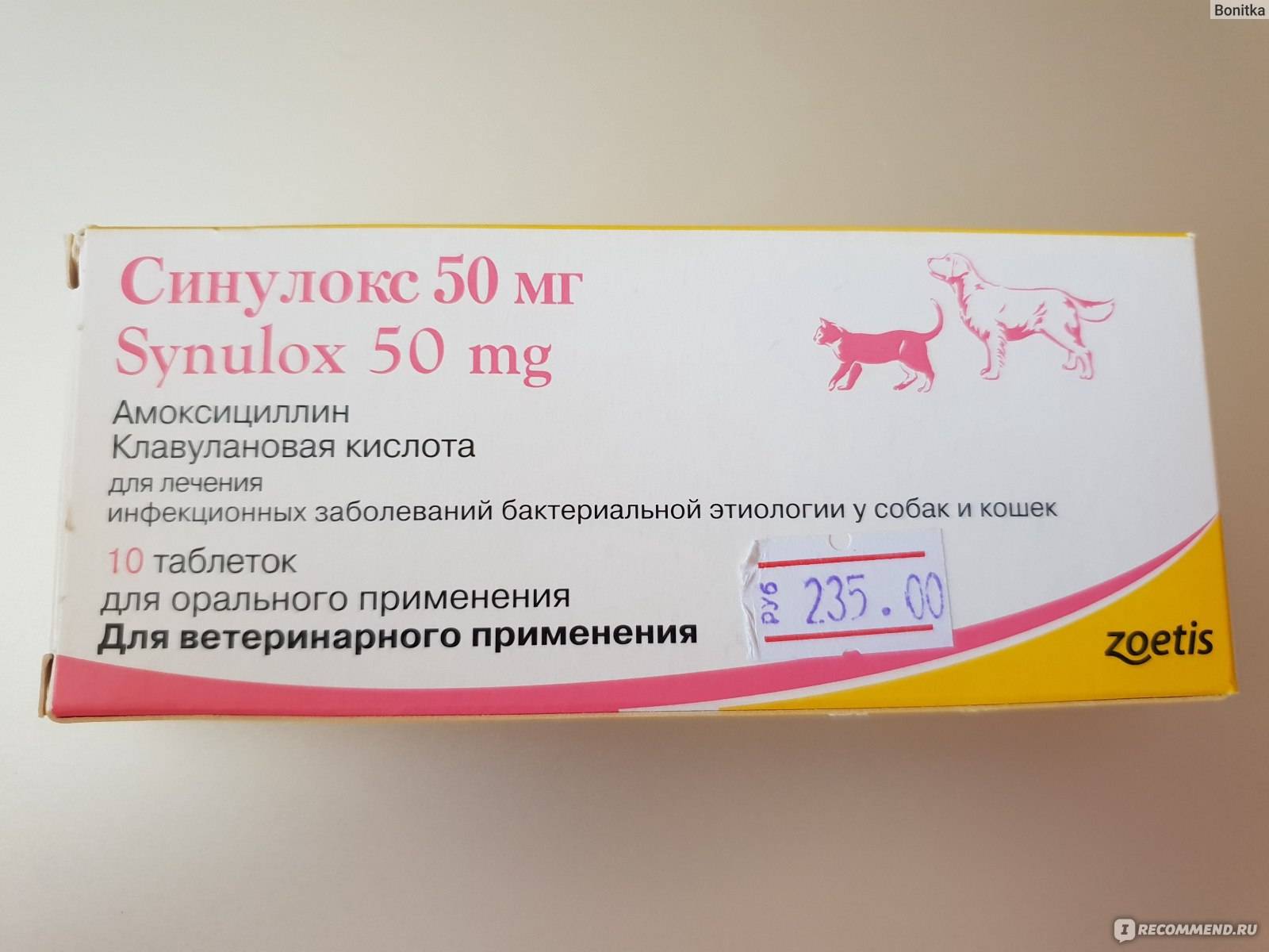 Синулокс инъекции для собак | инструкция по применению синулокса в виде уколов собаке