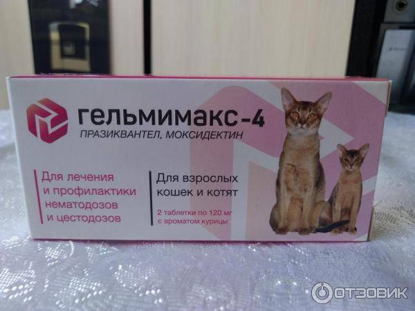 Гельмимакс для кошек: инструкция и показания к применению, отзывы, цена