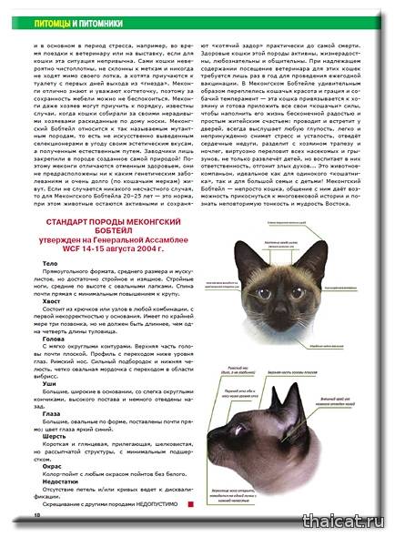 ᐉ тайская кошка: описание породы и характера, уход и содержание - kcc-zoo.ru