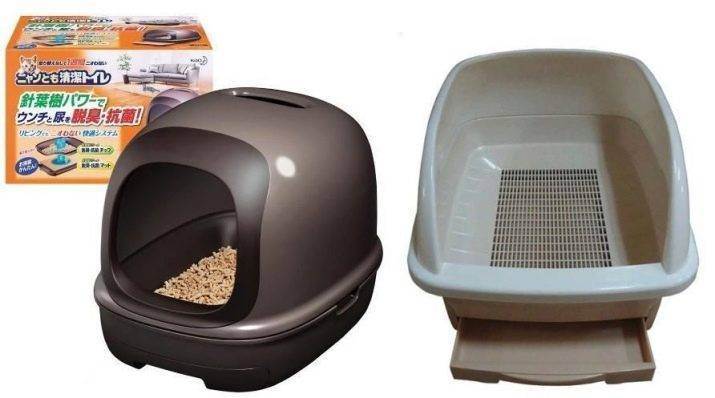 Закрытый туалет для кошек (21 фото): как выбрать большой кошачий лоток-дом с угольным фильтром для кота? отзывы владельцев