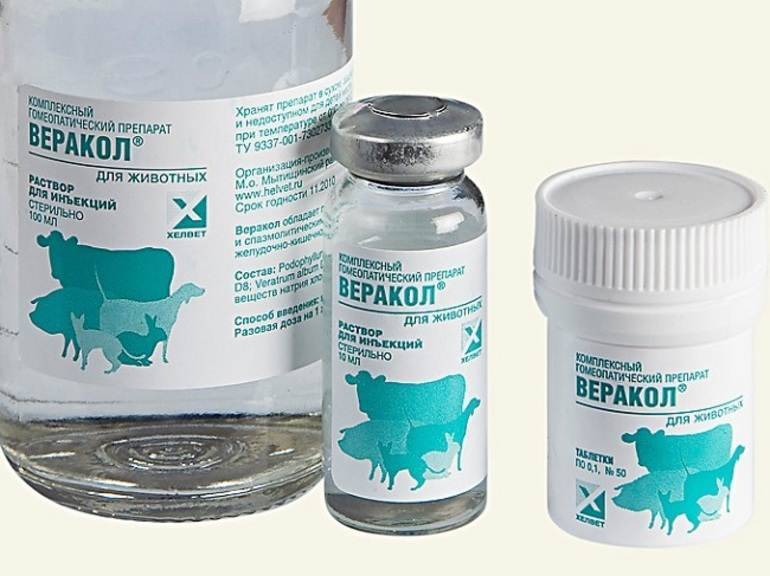 ᐉ веракол для кошек: инструкция по применению, капли и уколы, побочные эффекты - zoovet24.ru