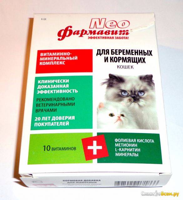 Витамины для кошек с кальцием - обзор препаратов с инструкцией, составом, показаниями и ценами