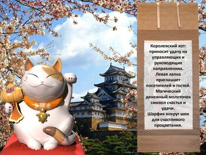 Что в имени тебе моём: подбираем кличку для кошечки