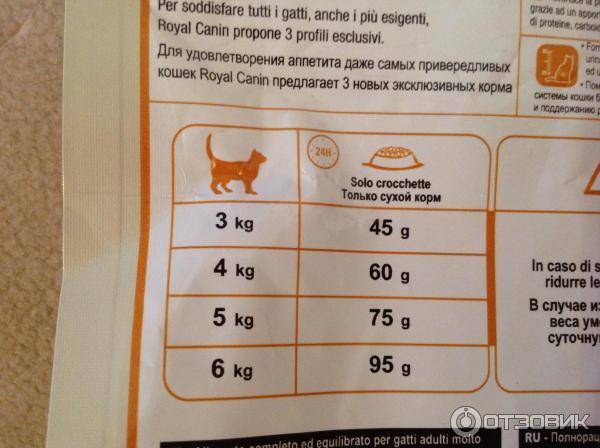 Можно ли кормить кошку сухим и влажным кормом одновременно