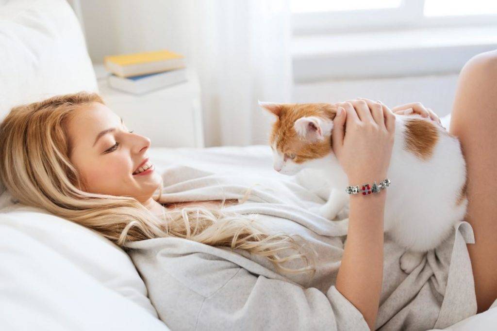 Кот спит на кровати или столе: что говорят приметы, можно ли кошке лежать в постели хозяев?
