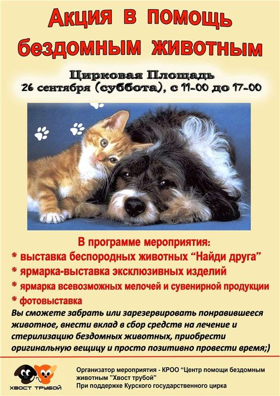 Проекты помощи бездомным животным