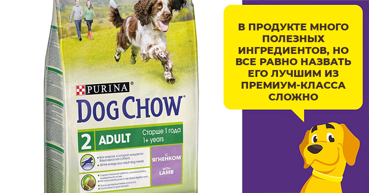 Подробный обзор собачьих кормов dog chow для крупных и мелких собак