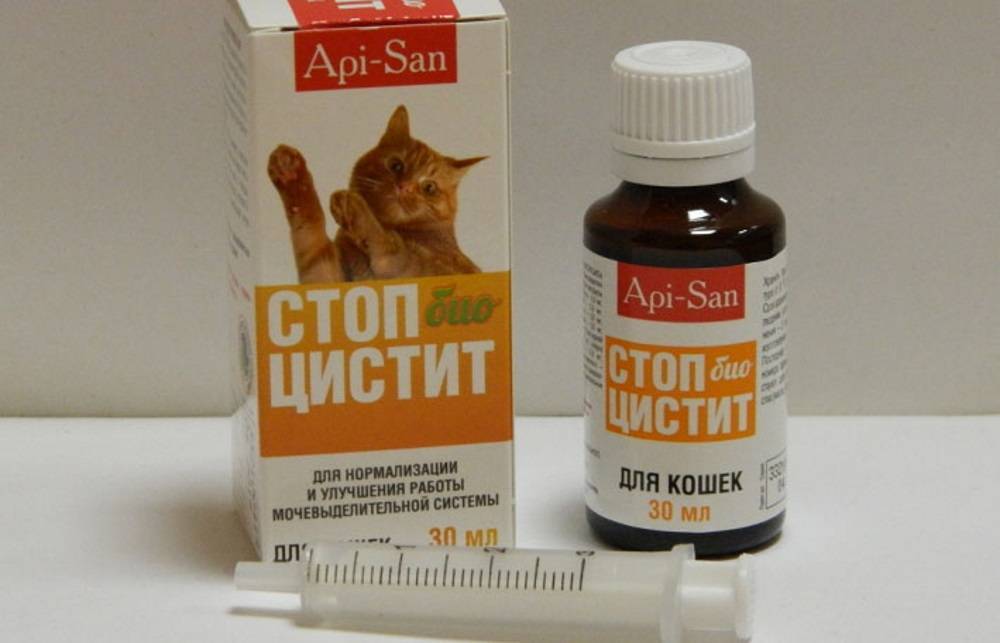 Стоп цистит для кошек и котов: инструкция по применению таблеток и суспензий, отзывы