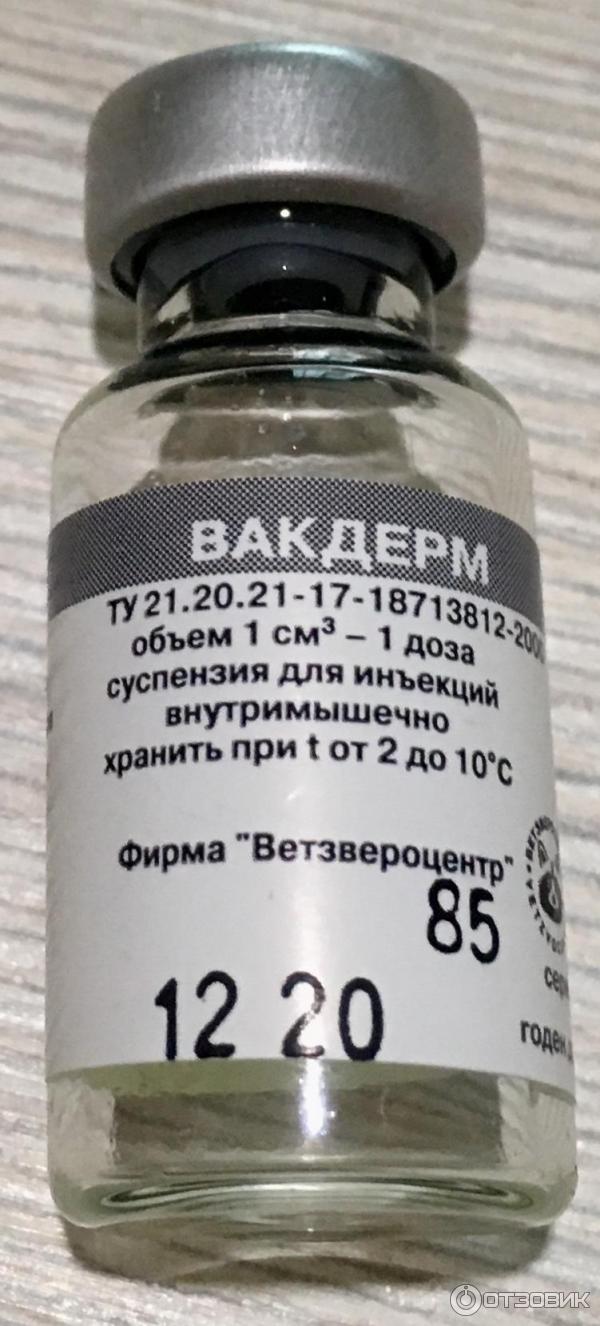 Вакдерм для кошек — инструкция по применению