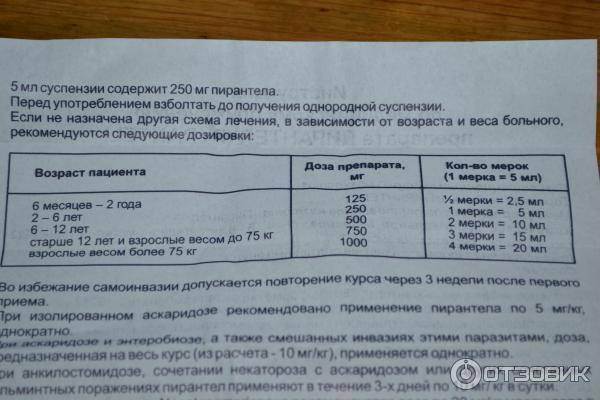 Пирантел кошкам - дозировка, как правильно давать