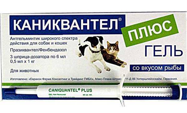 Таблетки от глистов для кошек : инструкция по применению | компетентно о здоровье на ilive