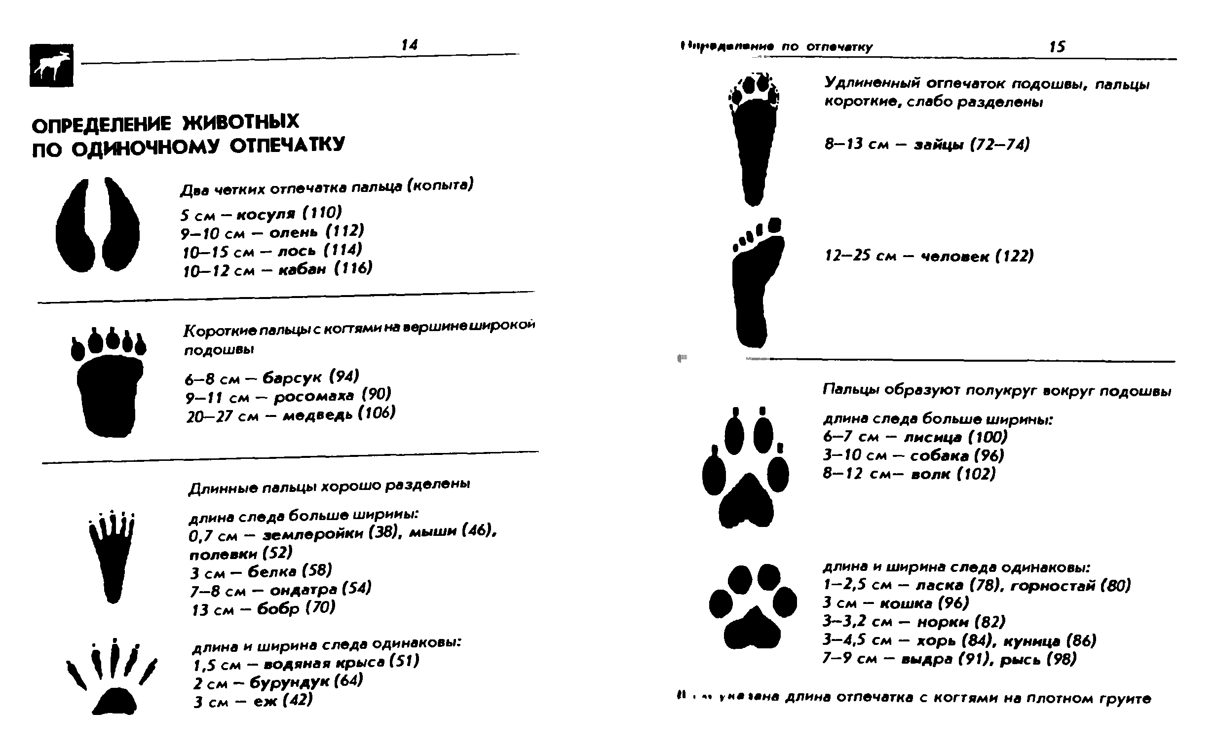 Определить следов