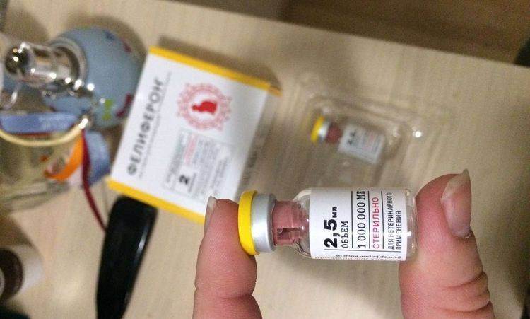 "фелиферон" для кошек: инструкция по применению, аналоги и отзывы