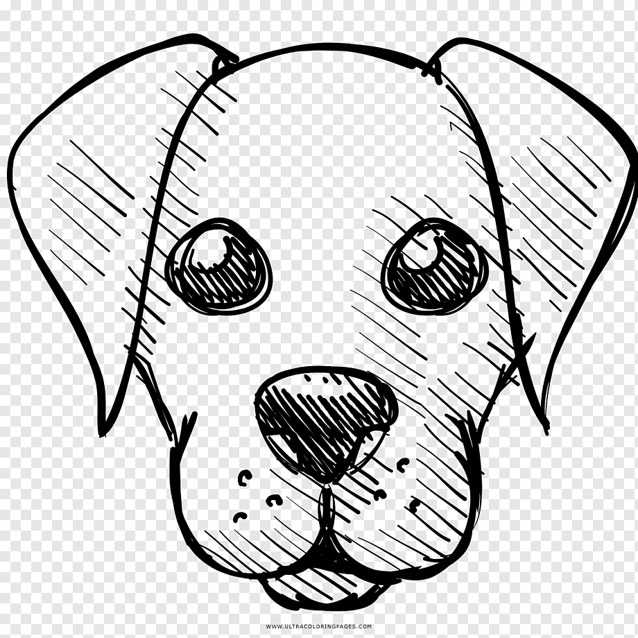 Как нарисовать собаку поэтапно карандашом: легко и красиво, фото, видео