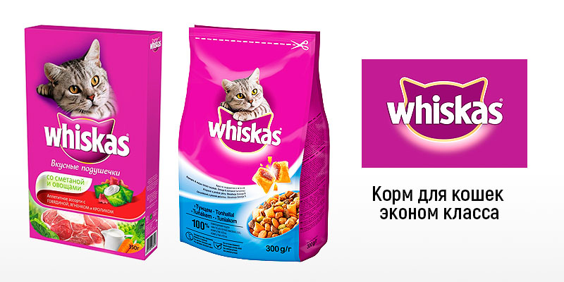 Готовые сухие корма для кошек: особенности и разновидности