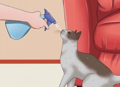 Как отучить кошку драть обои и какие обои кошки не царапают, видео