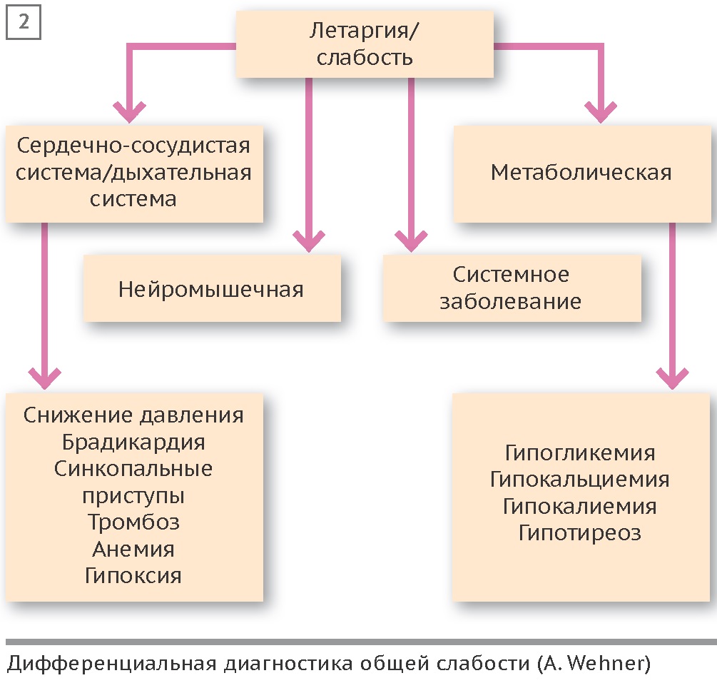 Розовый лишай