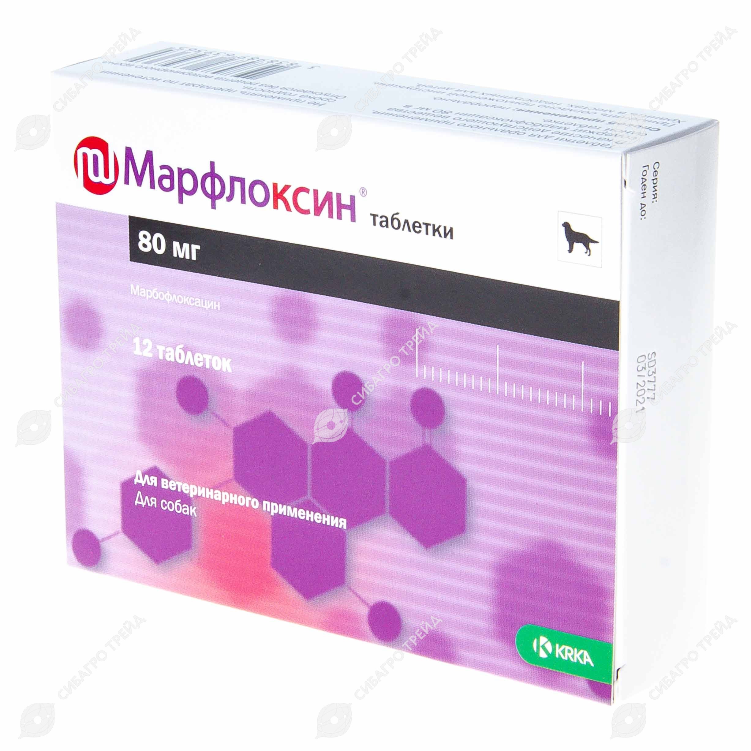 Марфлоксин (марбофлоксацин) для собак и кошек. актуальный противомикробный препарат для ветеринарии