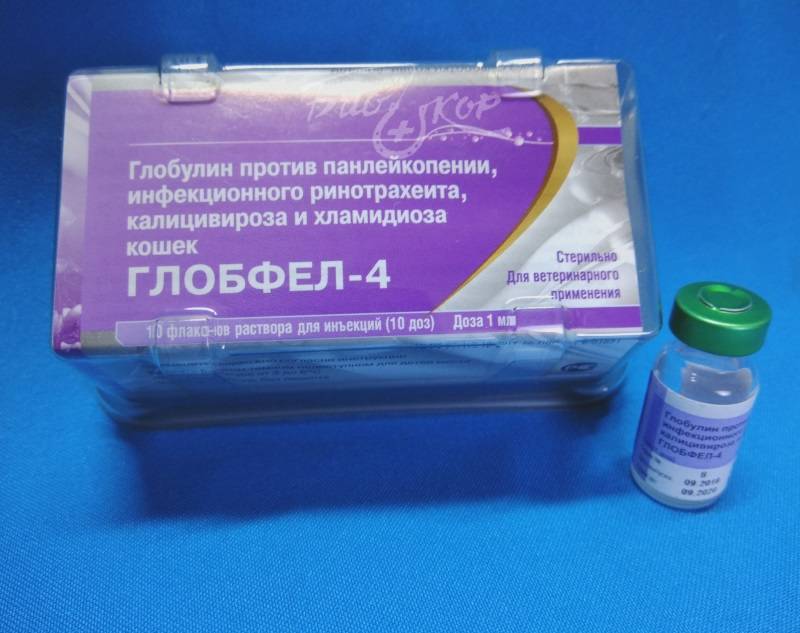 Глобфел-4 для кошек:инструкция по применению противовирусного препарата