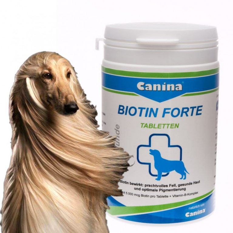 Витамины Canina для собак