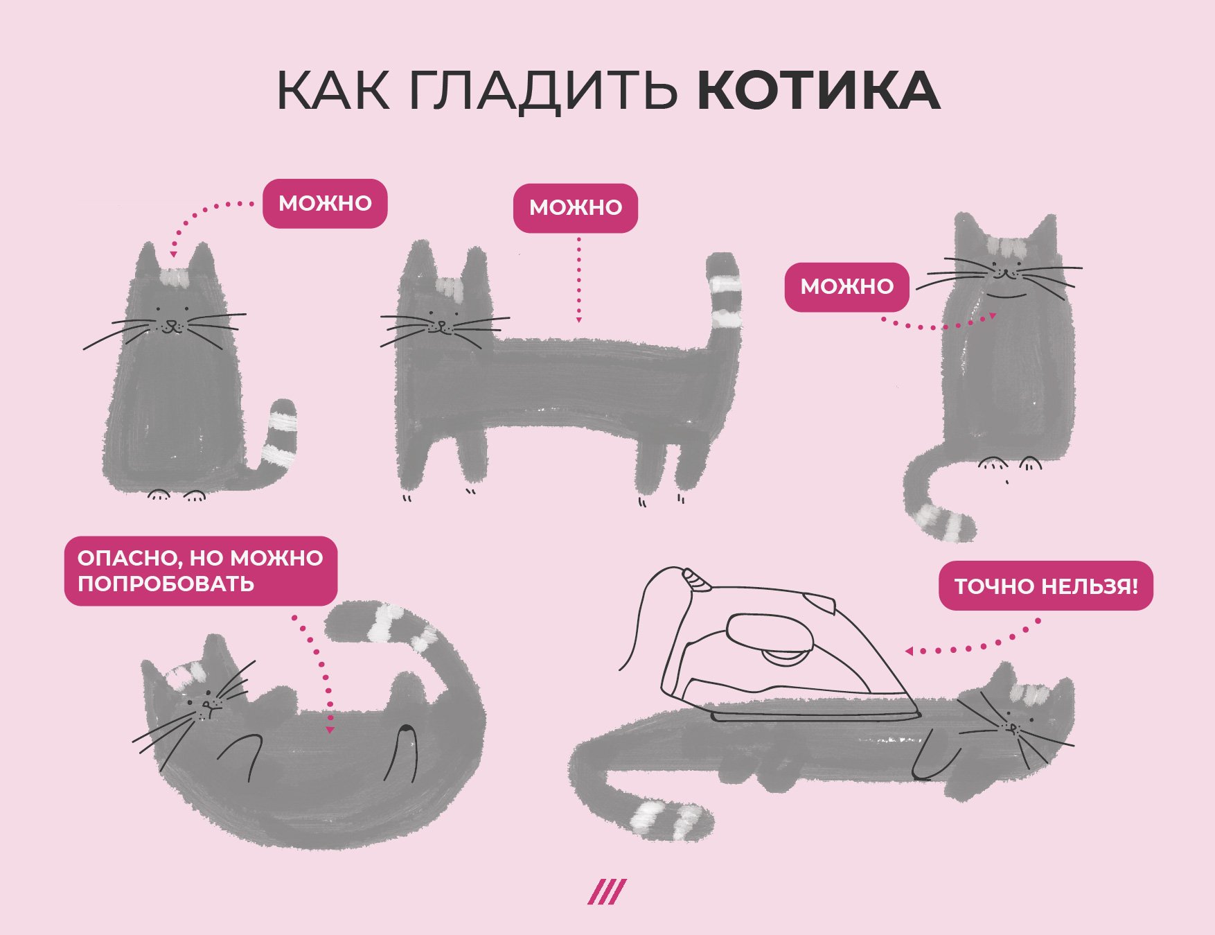 Почему кошка чешется? причины кожного зуда у кошек и котов