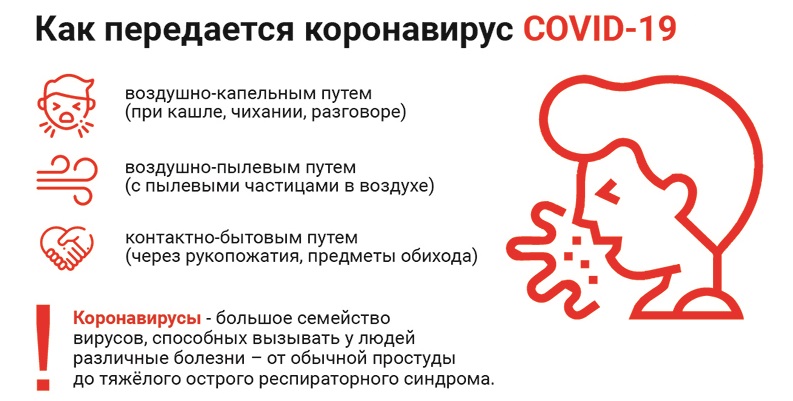 Может ли собака заразиться коронавирусом от человека