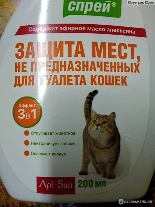 Какой запах не любят кошки: чем отпугнуть котов, чтобы не метили двери, использование спреев