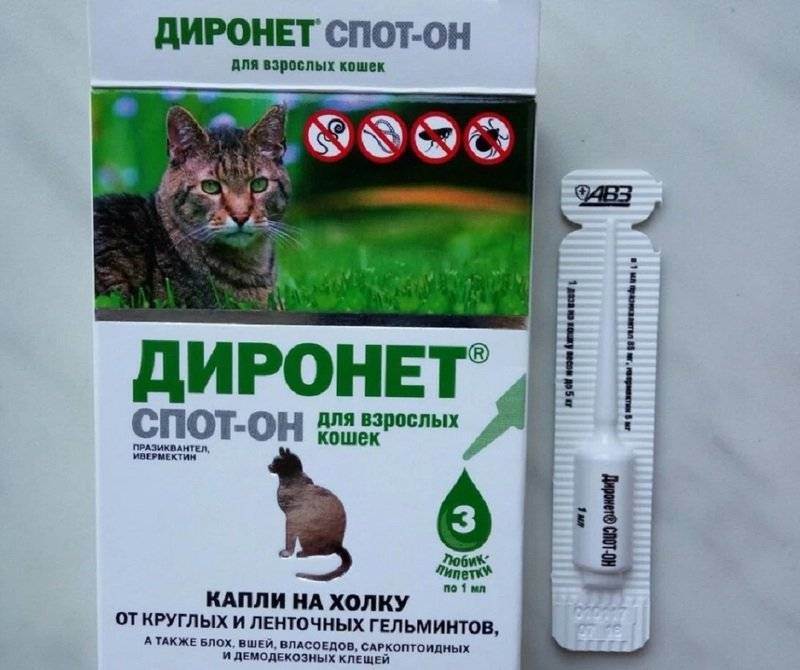 Инструкция по применению препарата Диронет Спот он для кошек