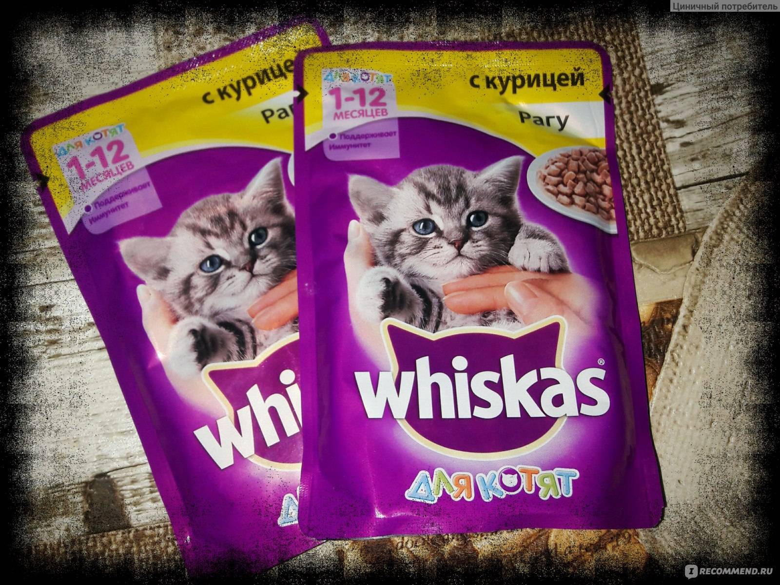 Что такое корм вискас для котят: сухой и влажный whiskas, состав whiskas для котят, правила применения
