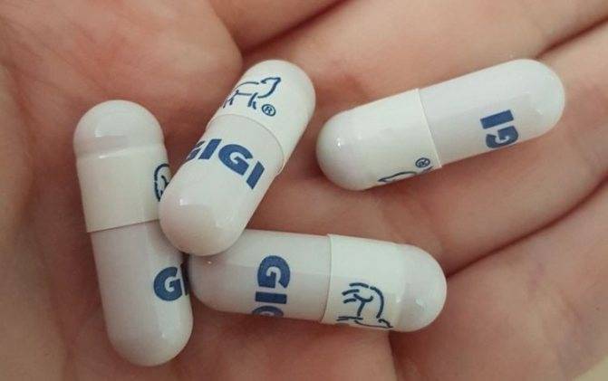 Как и в каких случаях можно использовать уро-урси для собак? узнайте!