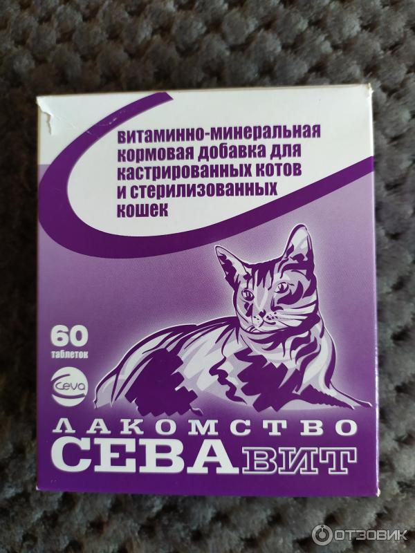 Лучшие витамины для стерилизованных и кастрированных кошек