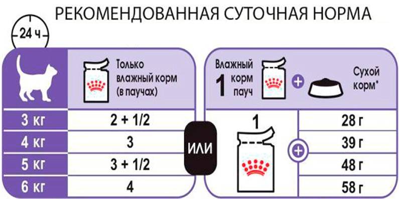 Сколько сухого корма нужно кошке в день