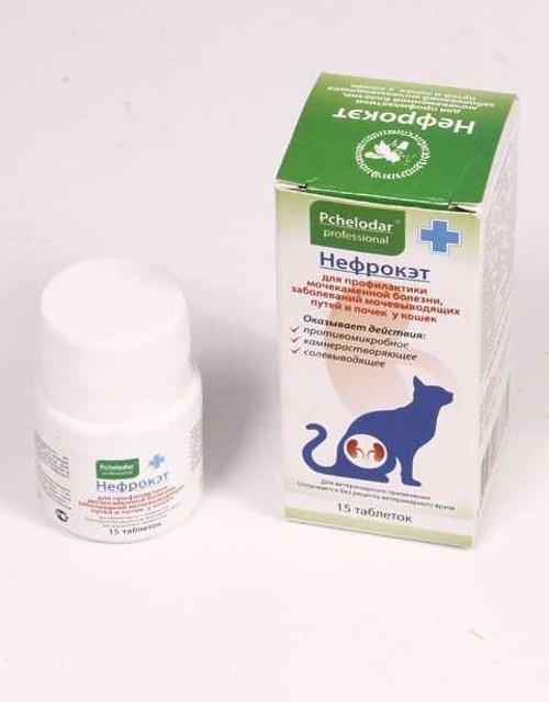 Фип (вирусный перитонит) у кошек: симптомы и лечение