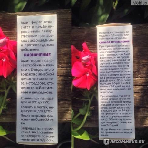 Амит для собак и кошек: инструкция по применению