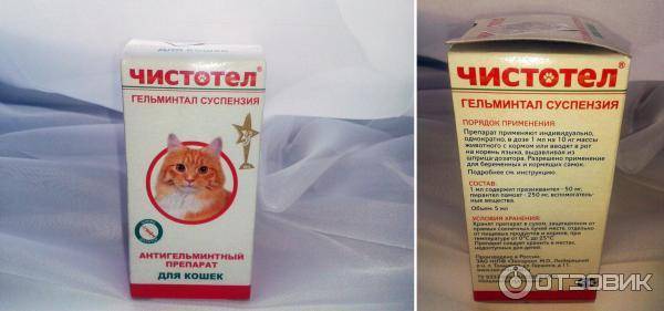 Средство от аллергии на кошек