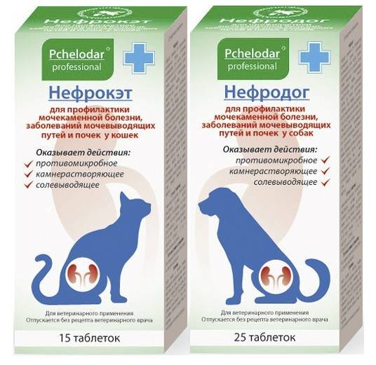 Котэрвин: инструкция по применению для кошек и котов, отзывы ветеринаров о каплях, аналоги