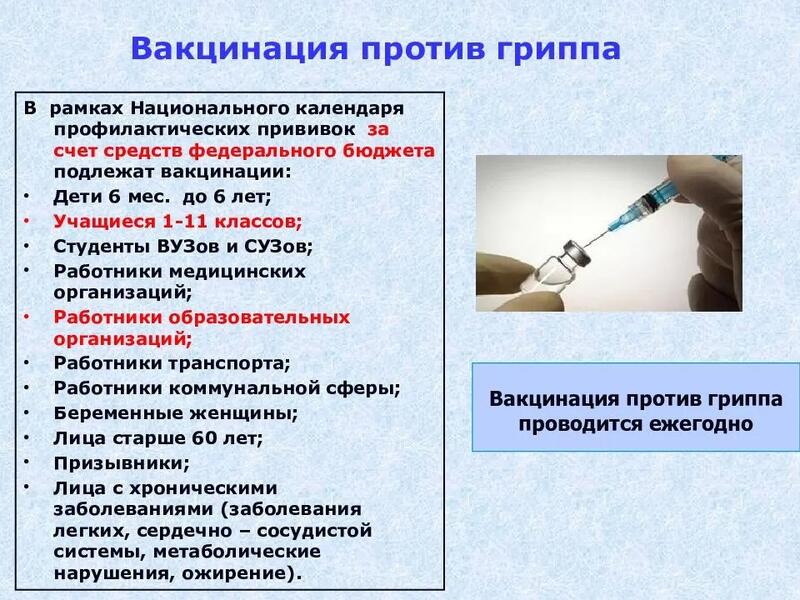 Прививки для собак (вакцинация): таблица и правила по возрасту | petguru