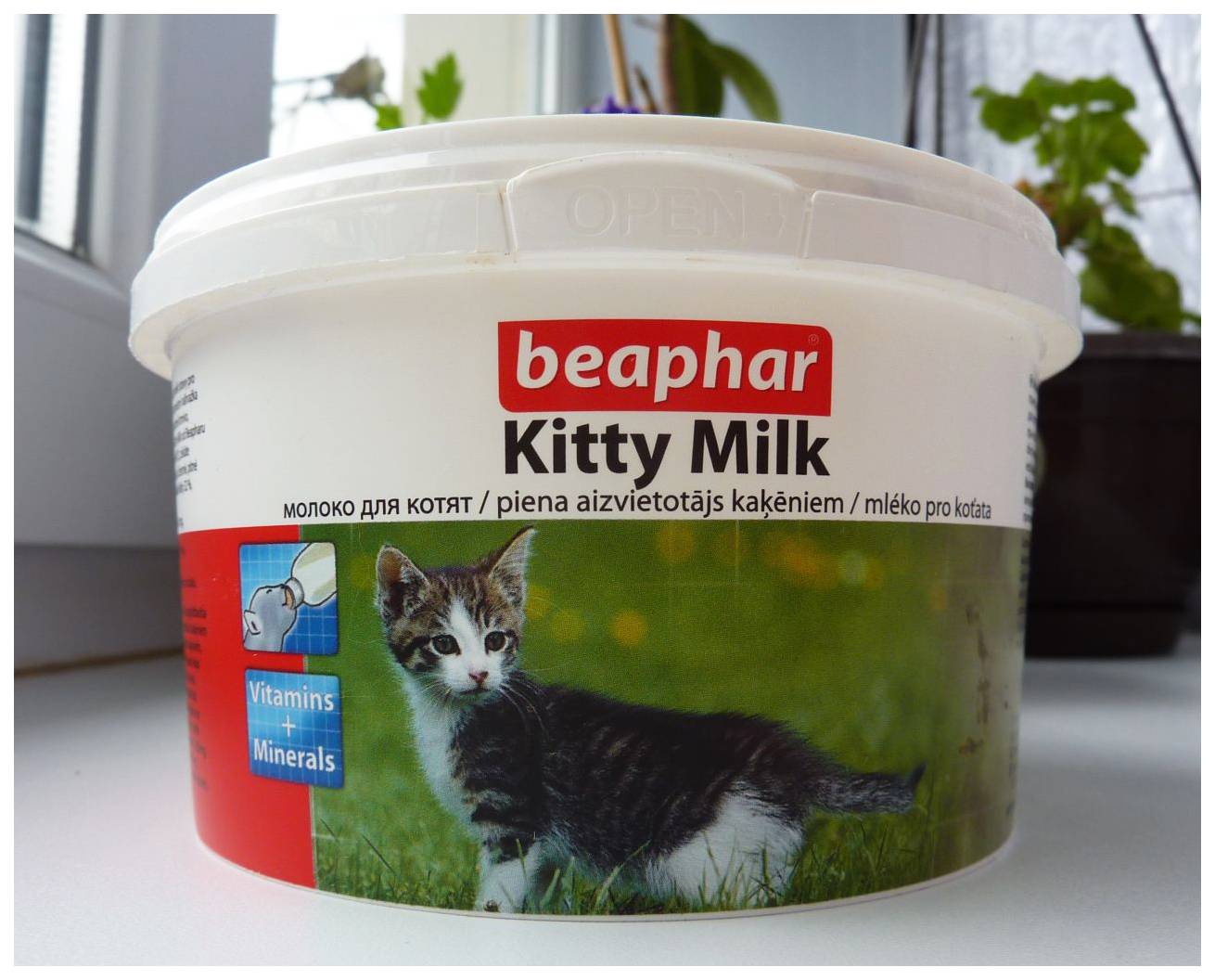 Чем кормить месячного котенка без кошки