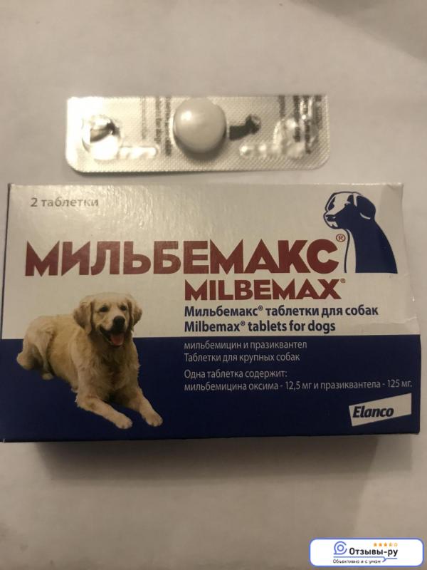 Обзор ветеринарного препарата мильбемакс