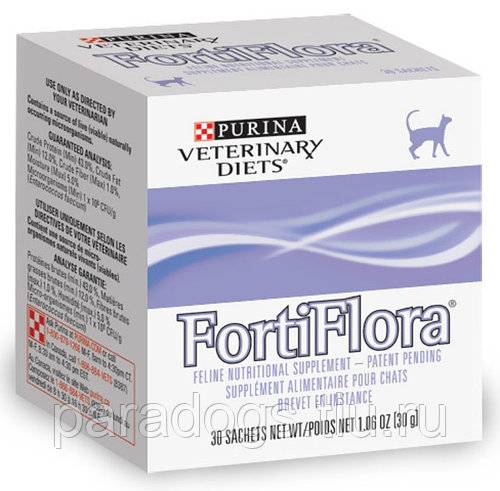 Фортифлора для кошек: инструкция по применению пробиотика от "пурины"