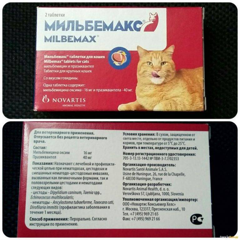 Как давать Мильбемакс кошке?