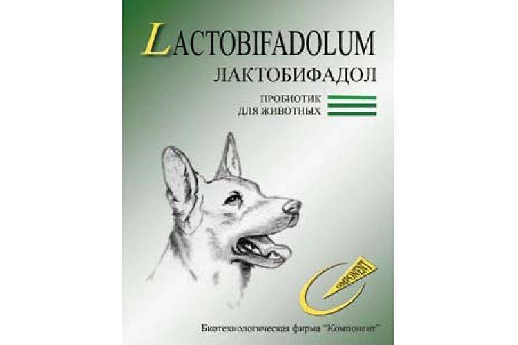 Лактобифадол для собак: инструкция по применению, описание и свойства лактобифадола, цена и отзывы