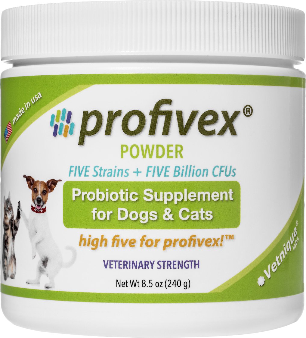 Пробиотики для собак: виды для мелких и крупных пород собак с отзывами