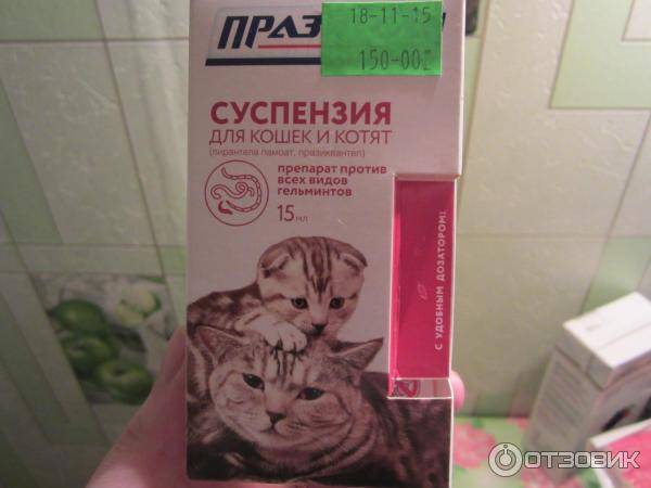 Празител таблетки для кошек: состав и назначение, инструкция по применению, побочные действия