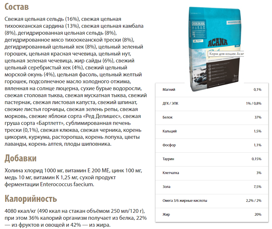 Корм для кошек акана: отзывы и обзор состава