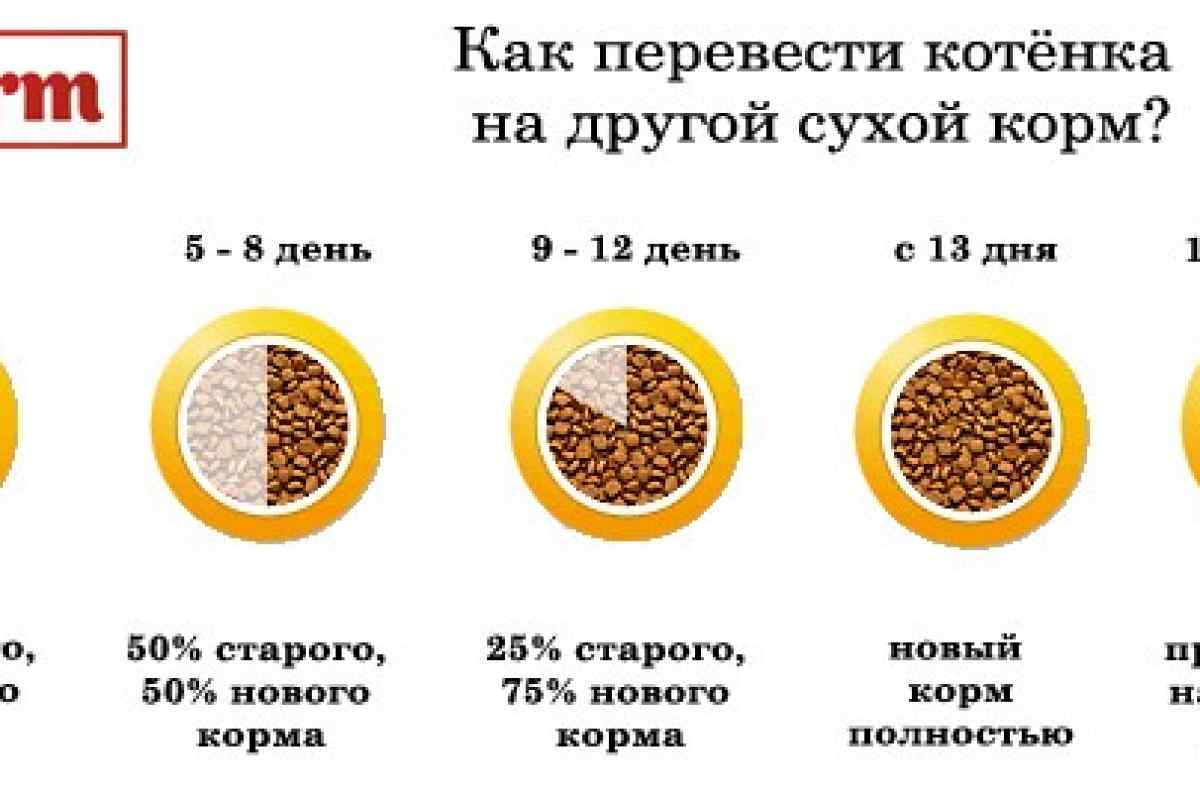 Как переводить щенка на сухой корм