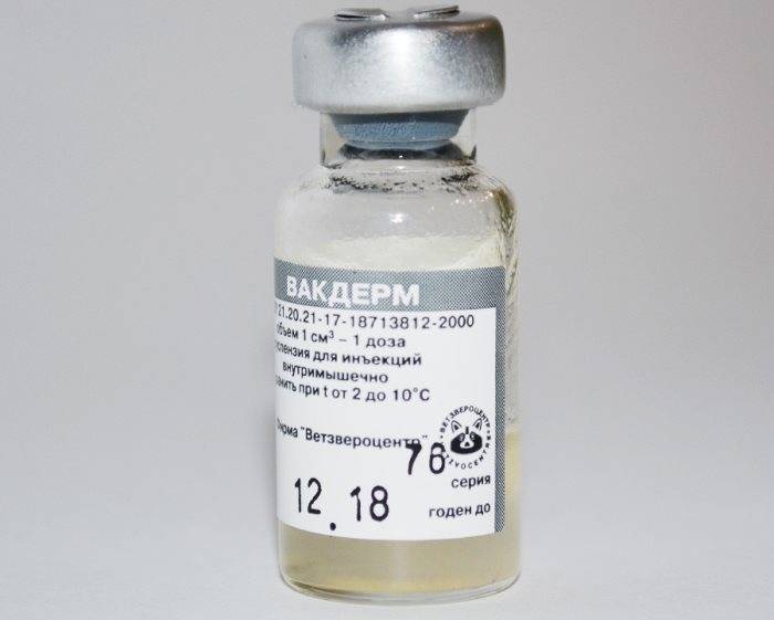 Вакдерм — вакцина против дерматофитозов