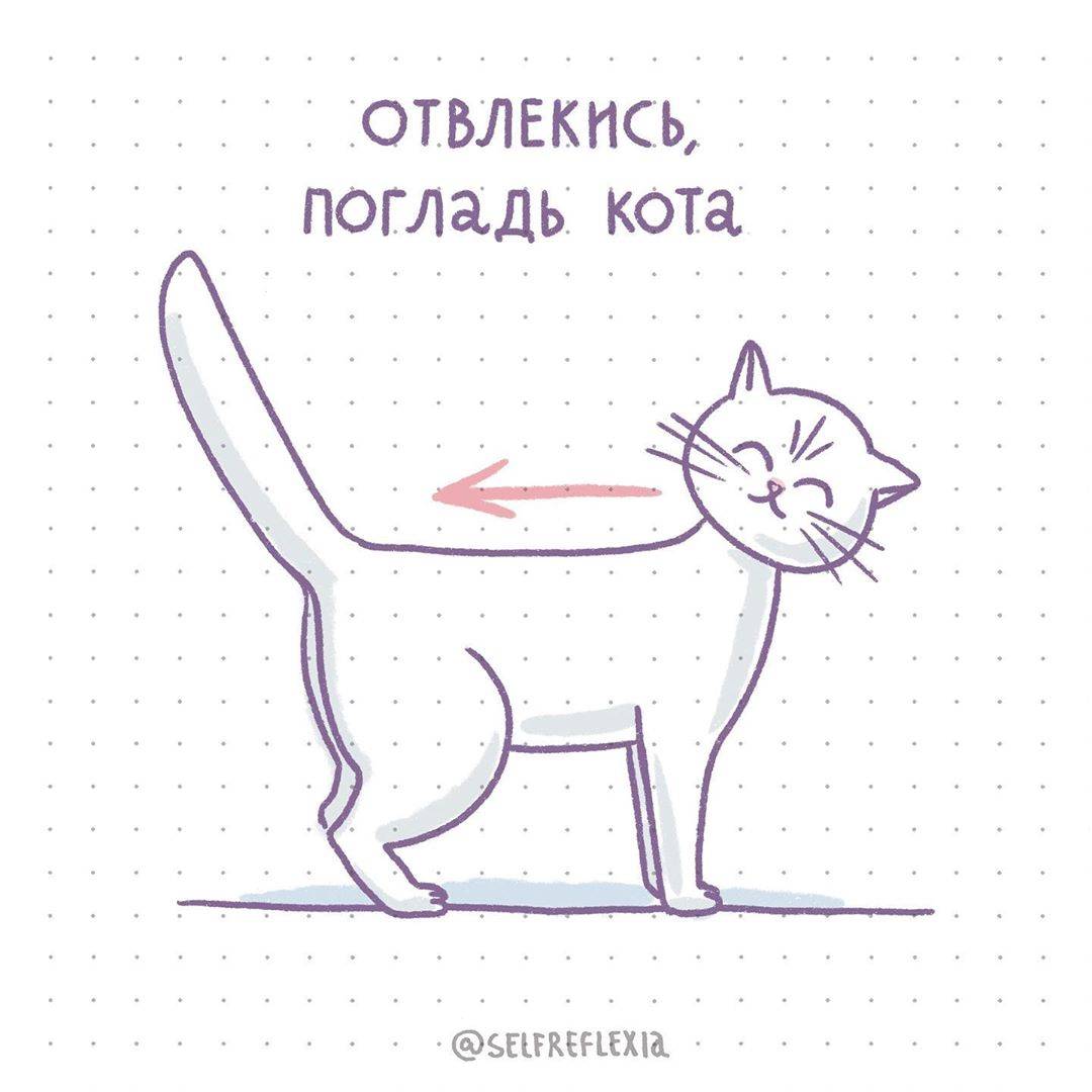 Стресс у кошки (кота) | причины, симптомы и что делать (подробно)