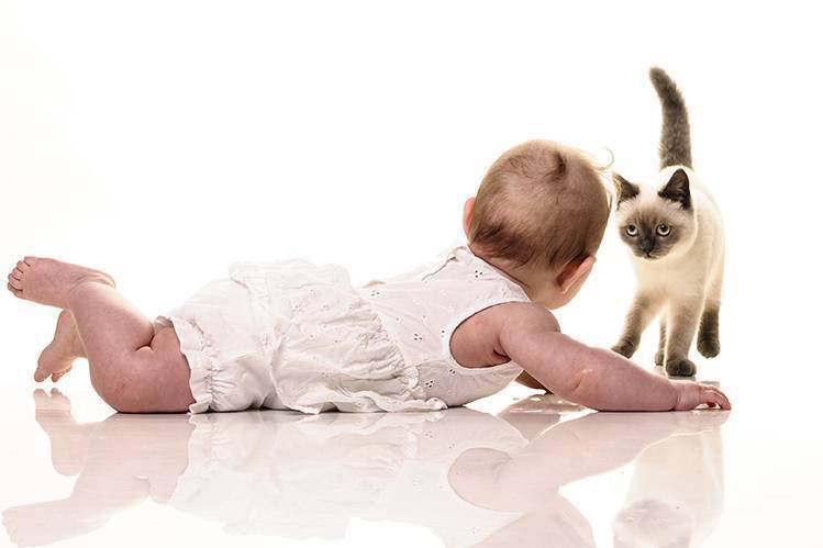 Животные в доме: польза и вред для младенца - запись пользователя zvezar (id1953651) в сообществе благополучная беременность в категории статьи, полезная информация - babyblog.ru